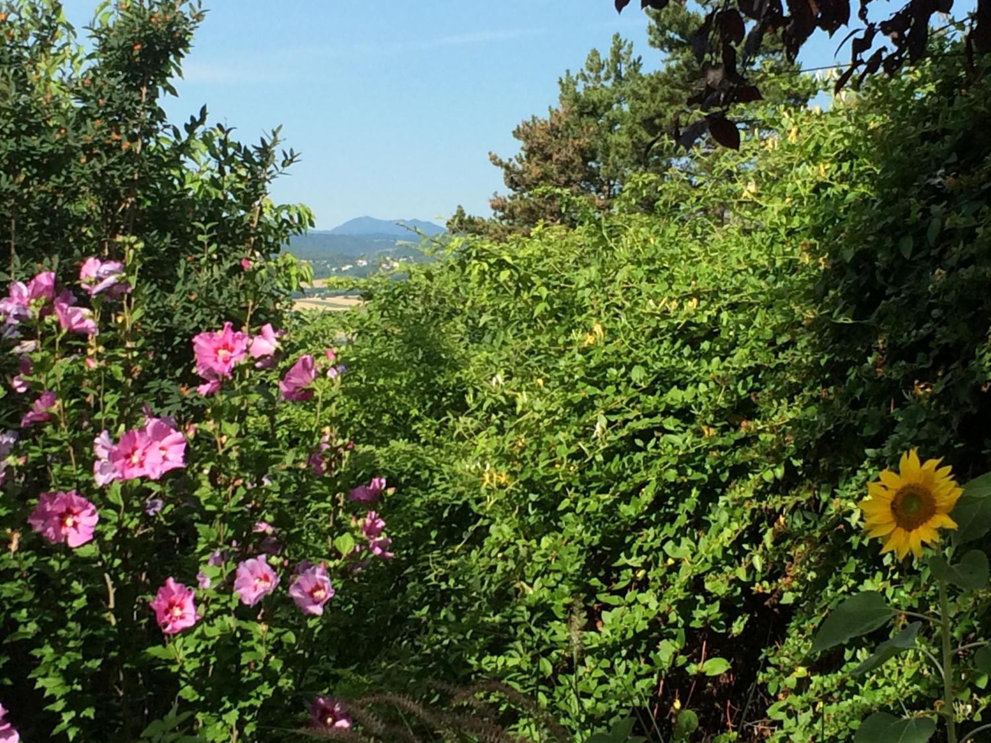 La Villa Victoria Auvergne Cournon-d'Auvergne Exteriér fotografie