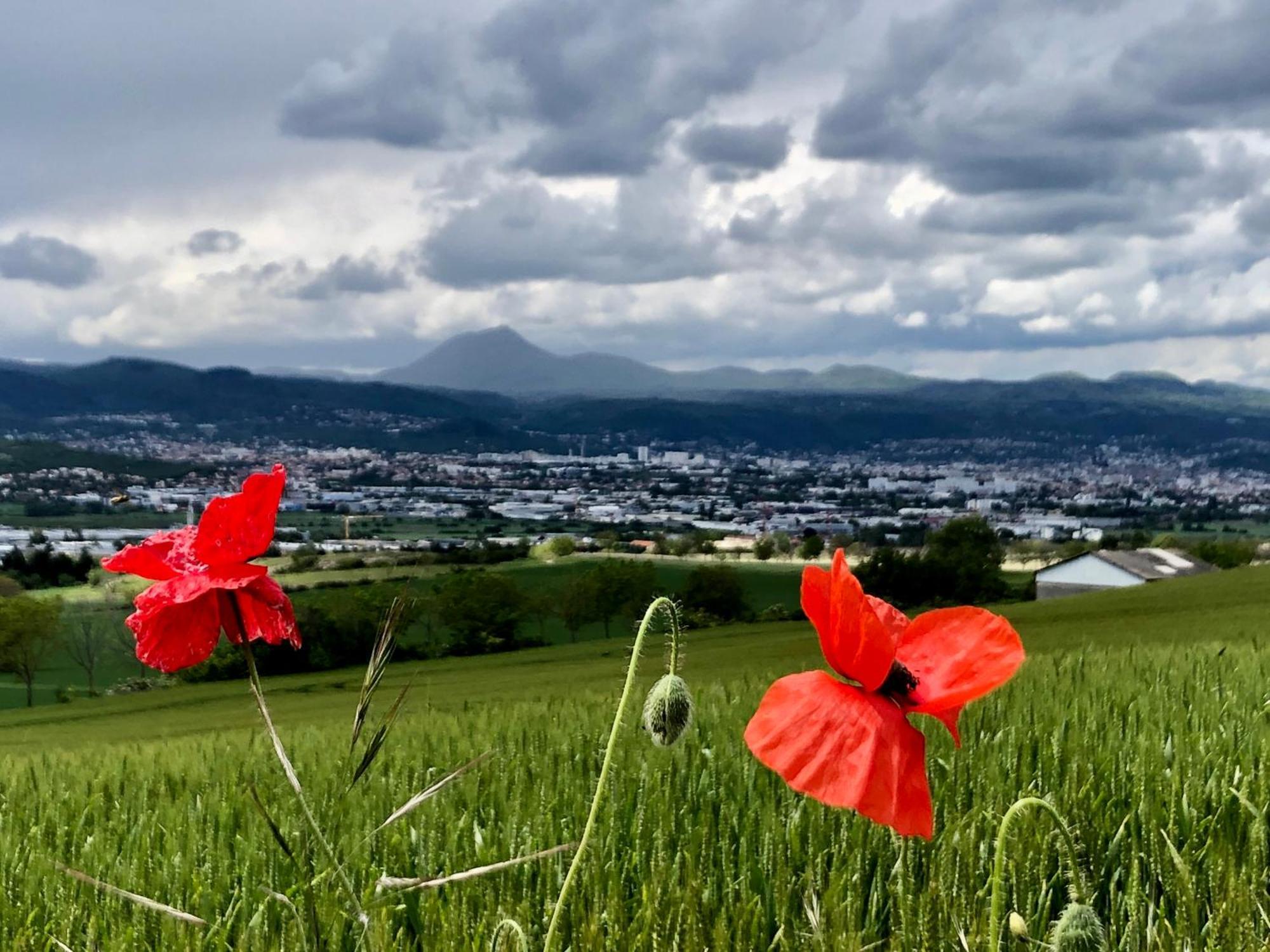 La Villa Victoria Auvergne Cournon-d'Auvergne Exteriér fotografie